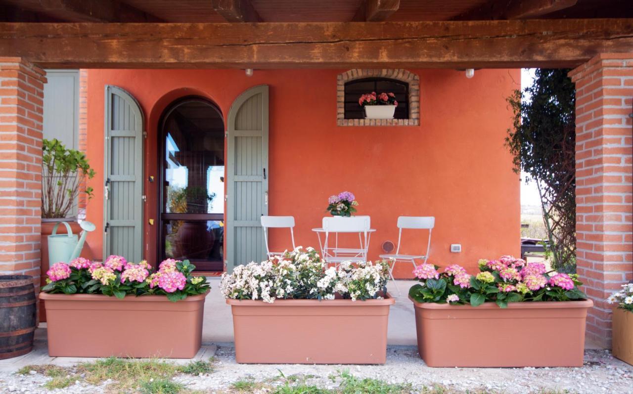 Ca Vincenzona, Wellness Area Ξενοδοχείο Faenza Εξωτερικό φωτογραφία